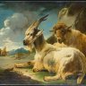BeauxGoat