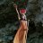 queenofswords
