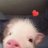 PolishPig