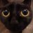 MiuMuse